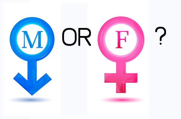 Do People Prefer Male or Female Voiceovers?